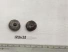 Click for 1 image(s) for this accession. FRUIT